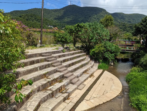 竹子湖步道群悠遊行1853531