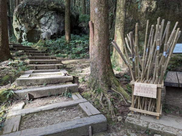 【新聞】嘉義林管處於步道登山口放置愛心竹杖供民眾使用