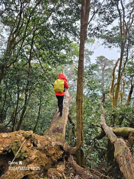 【苗栗郊山聖稜線】仙神象18連峰大縱走2675884