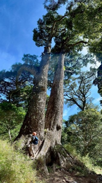 20250620南橫三山塔關山2816708