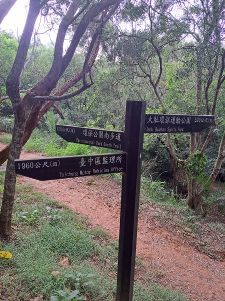 大肚環保公園登山步道202309102293385