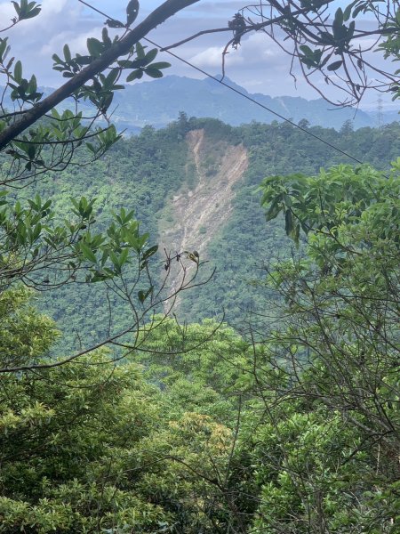 20240609 谷關東卯山(公子登山隊)2523443