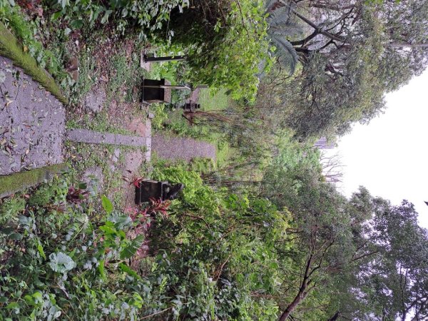 小百岳集起來劍潭親山步道3103129