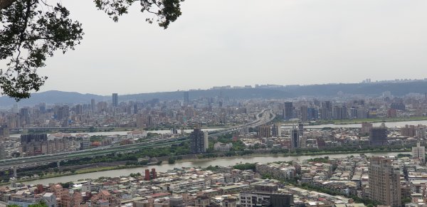 劍潭山小百岳1772416