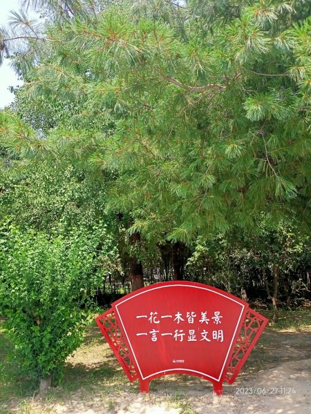 【西嶽陜西華山論劍 - 奇險天下第一山之西峰蓮花與南峰落雁】2-12268632