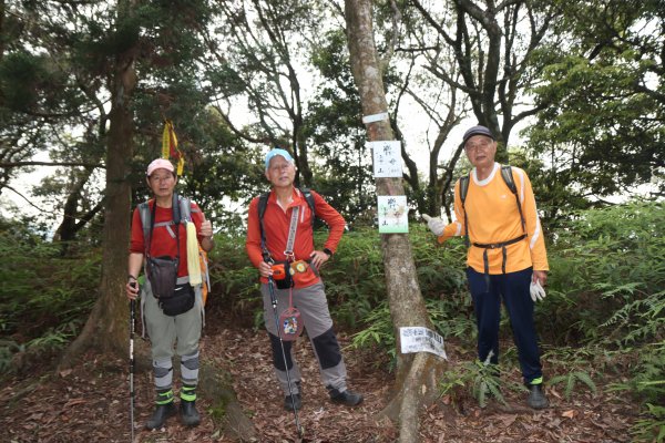 2023-04-10 雙鹿O形縱走─鹿母潭登山口→鹿母潭→竹坑山→竹坑山北峰→巨岩區→鹿母潭山→艱難路線→廢棄水泥農路→鹿母潭山登山口