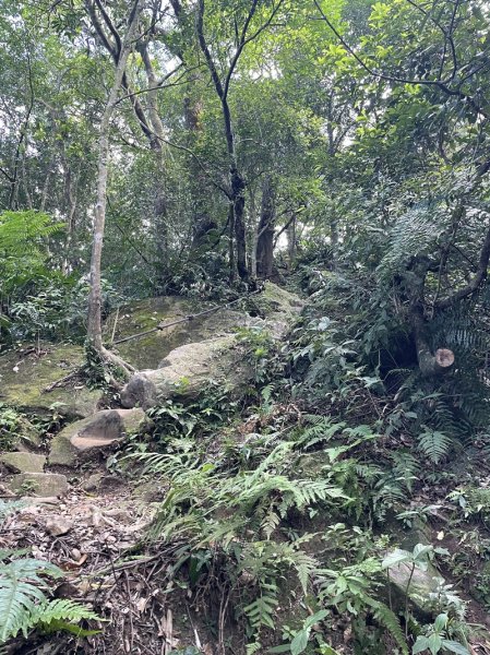 【二格山系】筆架連峰2881258