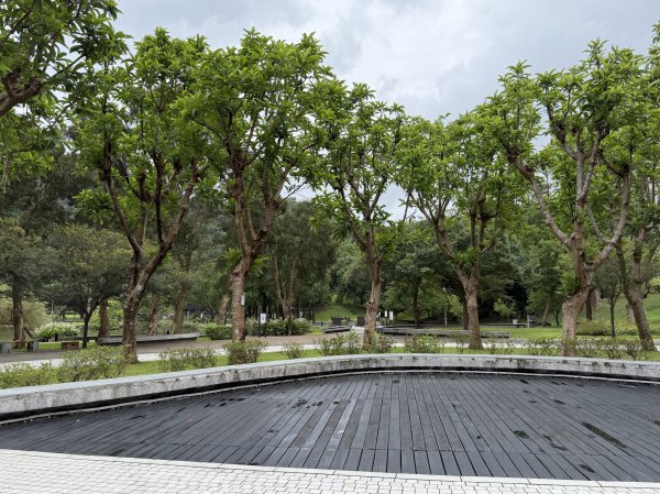 [2026臺北健走趣-03/50] 2026_0710_大湖公園(防災公園)3097797