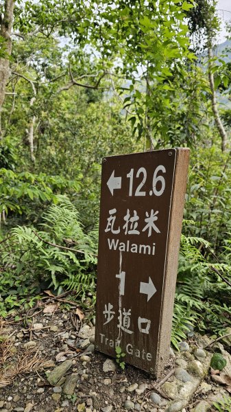 【美美兔走山趣】瓦拉米單攻27.2K-神人級路線。2773382