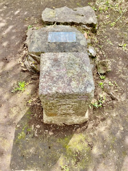 《中正山 × 紗帽山｜穿越北投古道與山林的一日縱走！》2935003