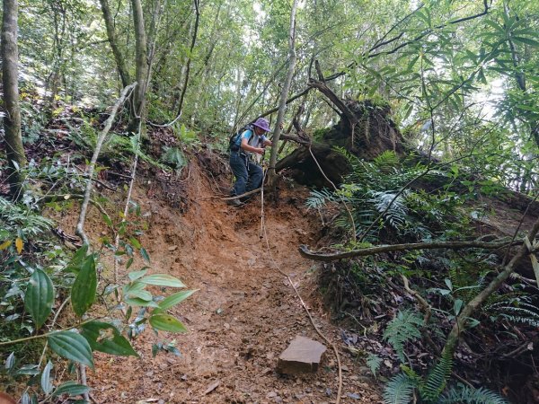 哈加縱走（哈堪尼山、加里山）1051375