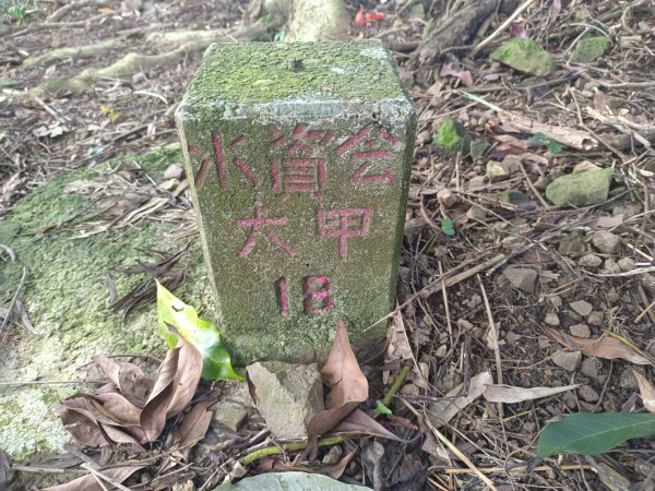 20230812台中東勢石角山、麻竹坑山、和平大南坑山主峰、大南坑山、大南坑山東峰2246205