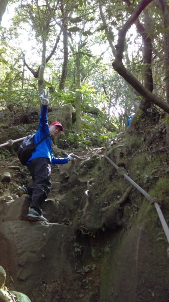 指南宮→猴山岳前峰→猴山岳主峰→草湳948505