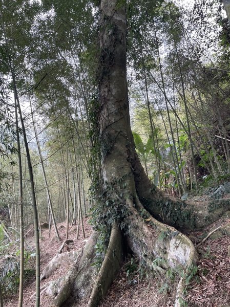 鹿谷小半天七連峰2992097