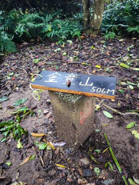 2025-03-08 汶水三山：金童山、汶水山、玉女山 連走2736511