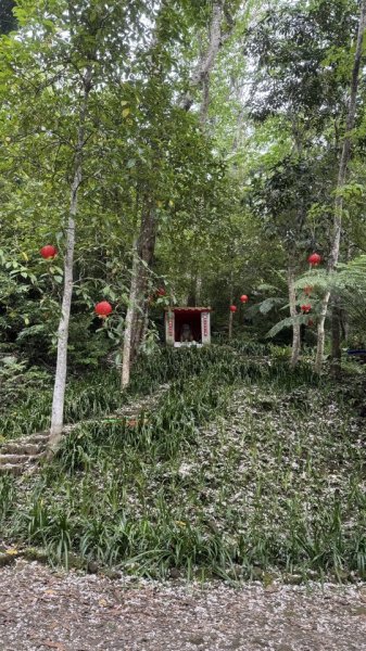 20250504大艽芎古道2837818