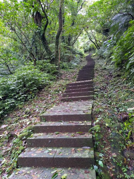 平溪五分山1142536