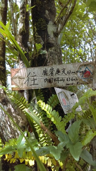 【東北角生態步道尋寶石】 桃源谷步道大溪線 3-2963440