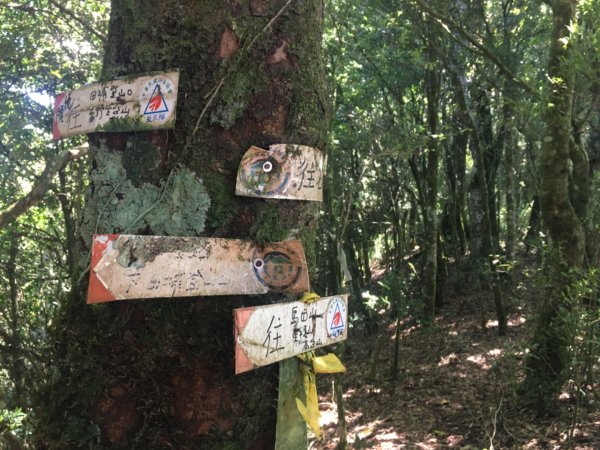 高島縱走（石麻達山2592532