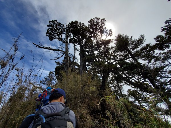 座車比爬山還累的郡大山1083408