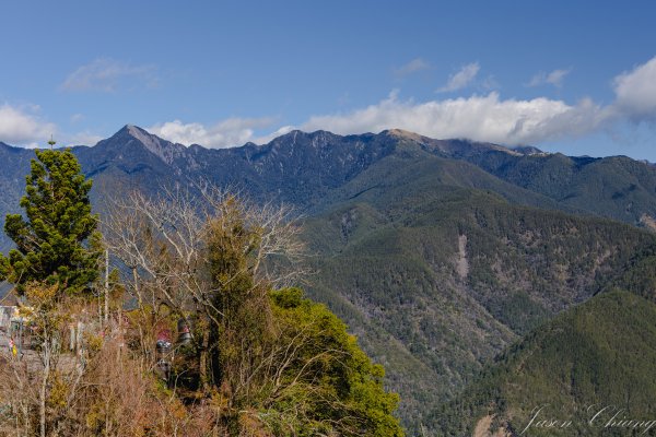 福壽山千櫻園櫻花季初開2717422
