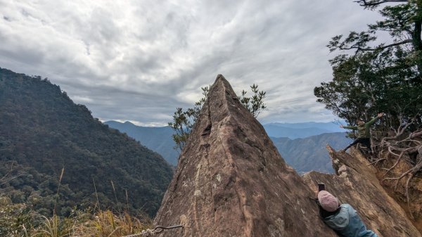 北得拉曼巨木步道2695506