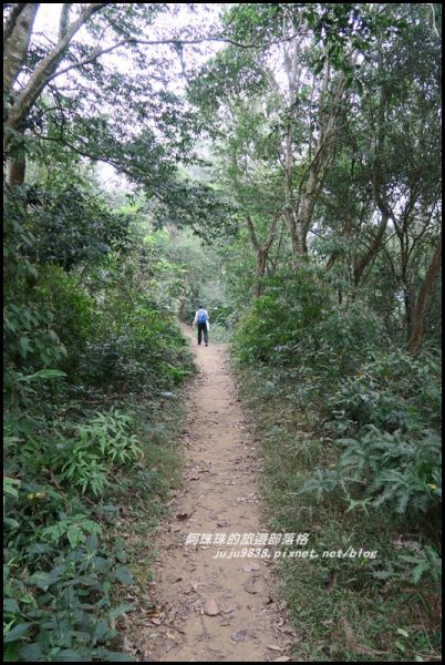 溪洲山步道和石門水庫之美402381