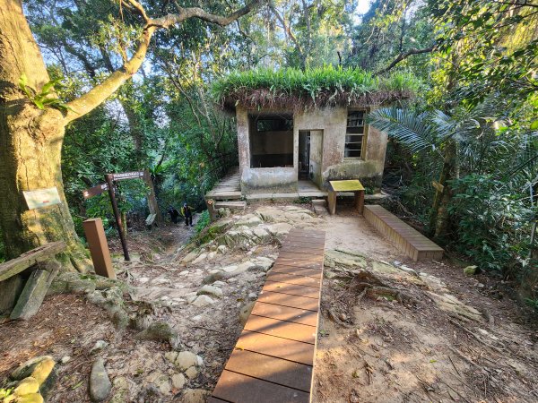 20250323慈湖草嶺山 ~ 五寮尖2781012