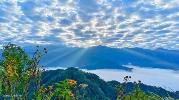 二訪馬拉邦山，解鎖 #琉璃光雲海 #日出雲海  #血月 #斜射光 #楓葉紅了！2668614