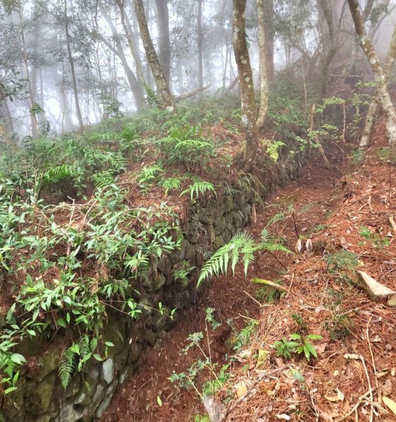 【中級山】芝生毛台山，芝生毛台山西峰，秀巒軍艦岩，屯野生步道，屯野生砲台2745126