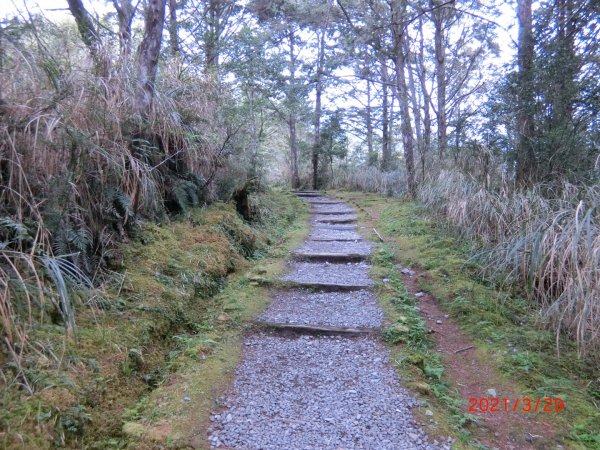 翠峰湖環山步道1557896