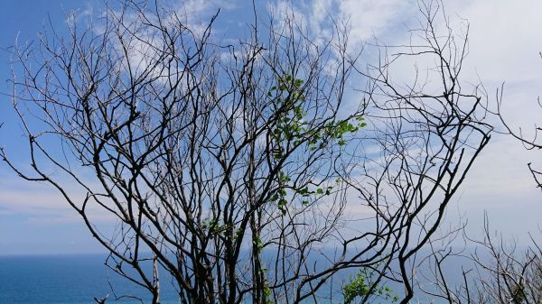 阿朗壹古道175891