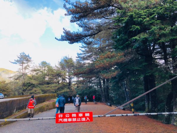 1081207大雪山神木.天池.埡口769827