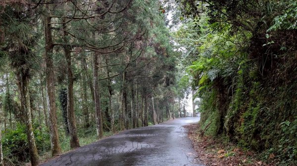 貓囒山步道2928507