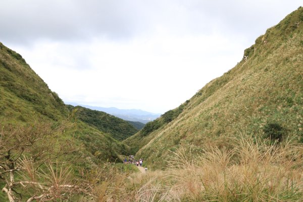2021.11.07－草嶺古道1567314
