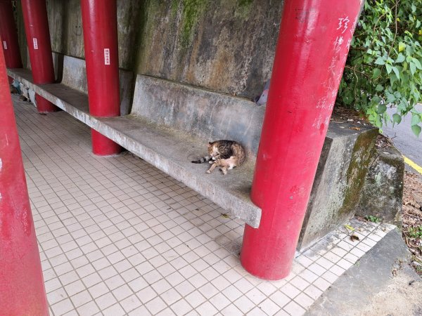 2026微笑山線鳶山彩壁段3104234
