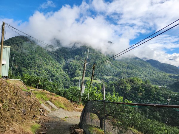 20230909 谷關雙雄，阿白縱走（阿冷山，白毛山）2276697