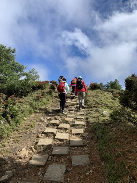 20201鹿林前山，鹿林山，麟趾山環走1206703