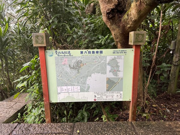 細雨中遠眺101登南港山2043831