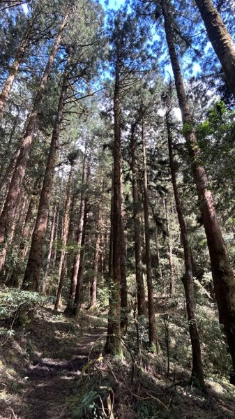 大同舊太平山神社給給池日向台2748244