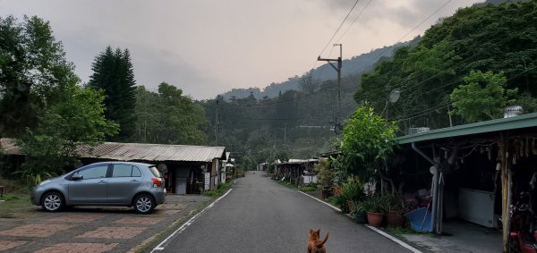 2023二刷水社大山補第一次白牆2126090