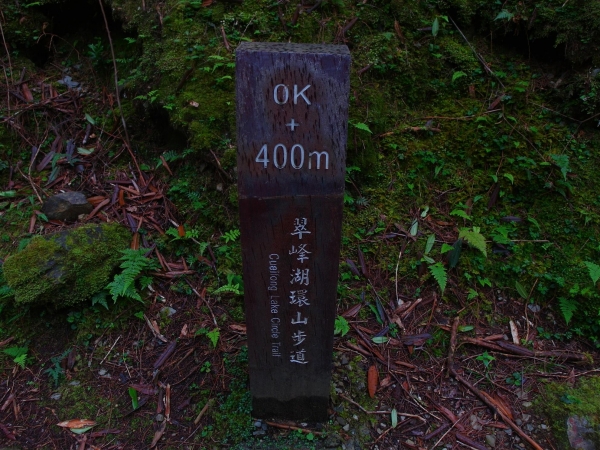 太平山之翠峰湖觀景環山步道44270