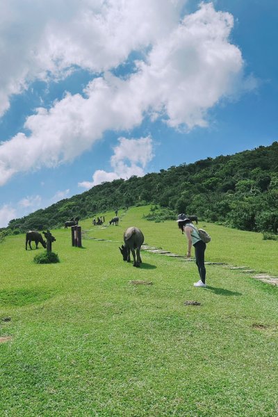 20240803頂山石梯嶺步道2582936