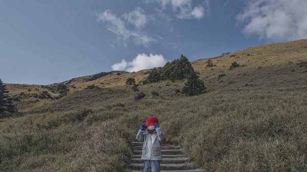 合歡東峰-五歲小樂的第一座百岳1302160