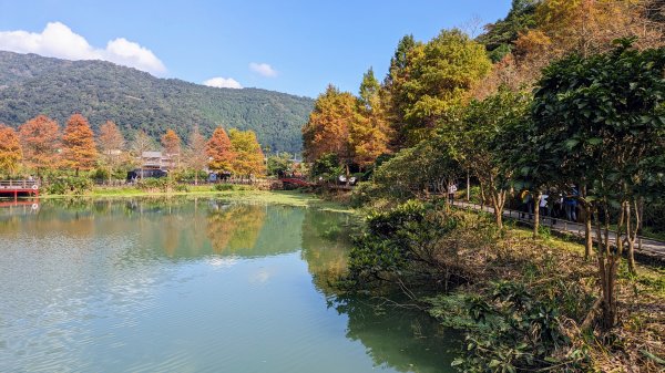 望龍埤,鎮頭山,蜊埤湖2391872