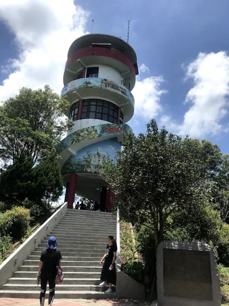 薑麻園桐花步道202006271965422