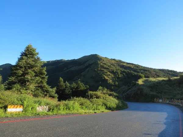 113.7.30合歡山西峰+北峰(一日單攻)凱米颱風後2562254