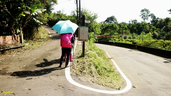 【淡蘭中路】翻山越嶺的茶商之道981244