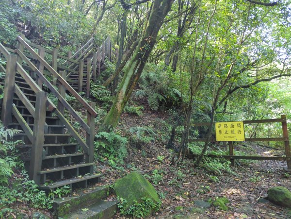 2025.04.27－金包里大路~小油坑縱走2770891