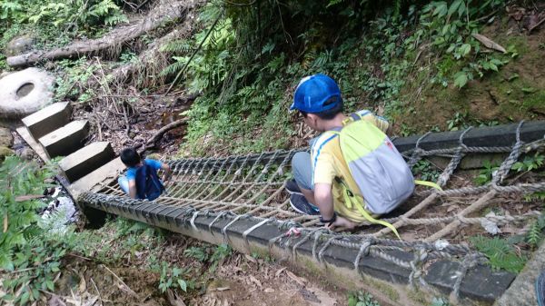 20180520望古瀑布、嶺腳寮山步道370234